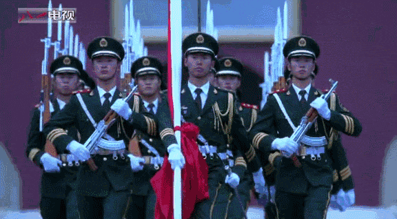 timg (1).gif