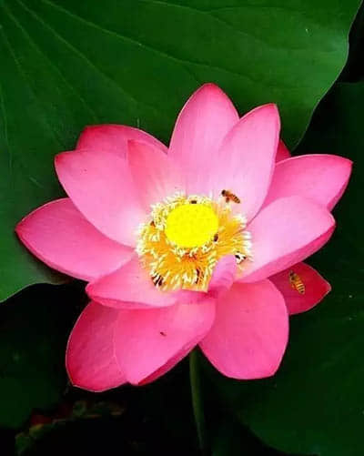 640.webp (44).jpg