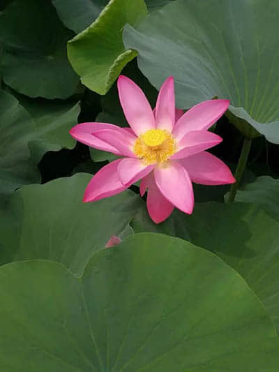 640.webp (20).jpg