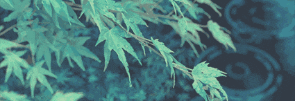 640 (1).gif